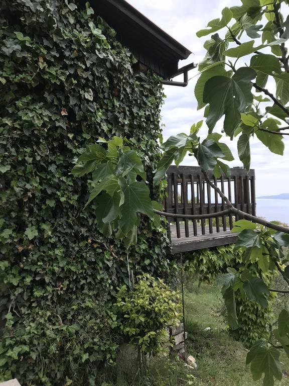 Charismatic Garden Cottage With Sea View 로크바 로고즈니차 외부 사진